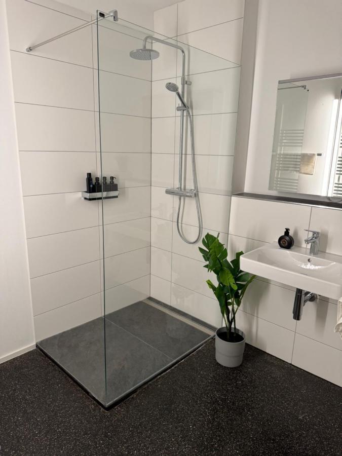 Isaak Stadtjuwel Apartment Waldshut-Tiengen